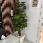 Evans Realty Ce Moderno Espacioso *