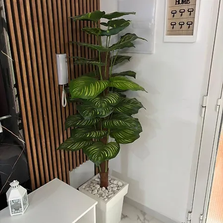 Evans Realty Ce Moderno Espacioso *