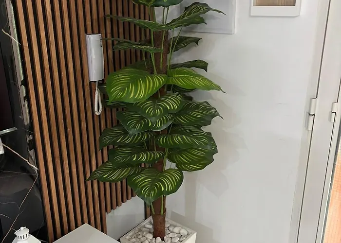 Evans Realty Ce Moderno Espacioso *